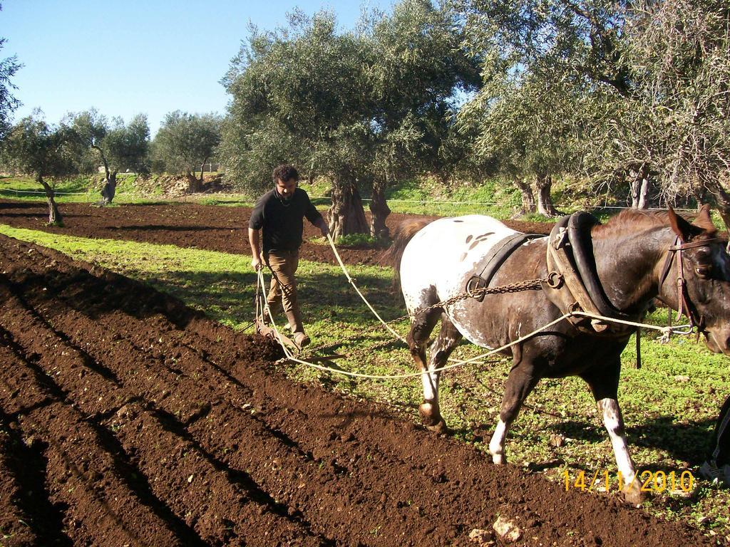 Agriturismo Armienti Villa Toritto Eksteriør billede